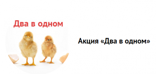 Акция «Два в одном»